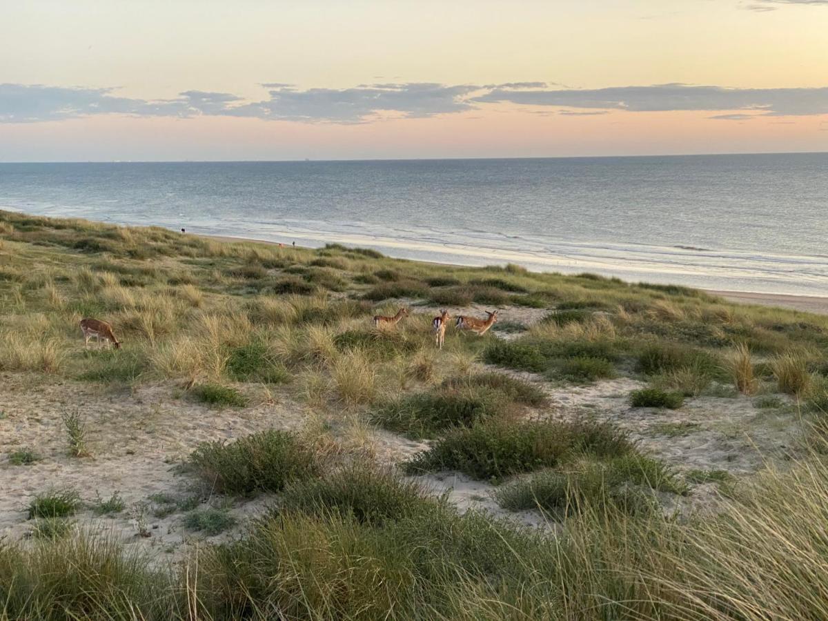 Zwarte Vis Lägenhet Zandvoort Exteriör bild