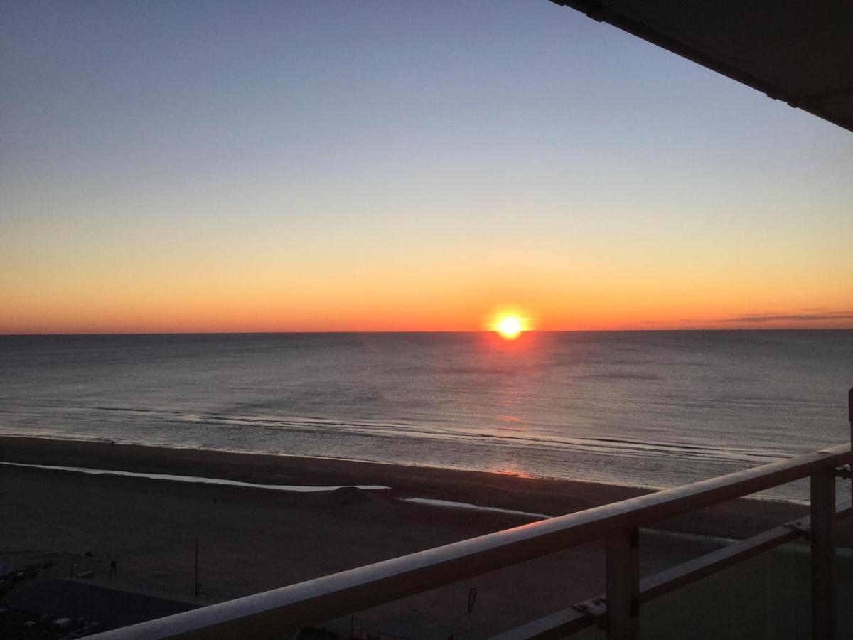 Zwarte Vis Lägenhet Zandvoort Exteriör bild